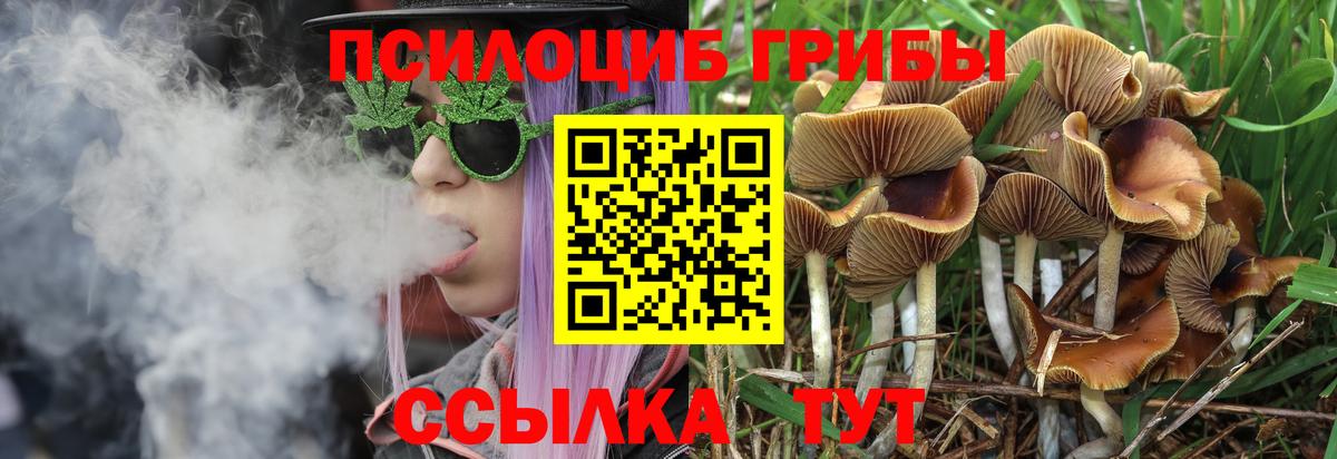 Галлюциногенные грибы GOLDEN TEACHER Дюртюли